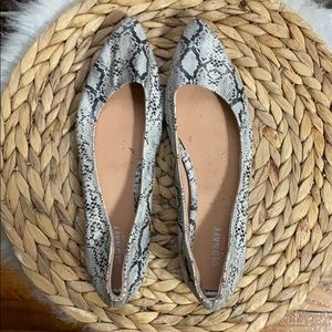 Snake animal print flats